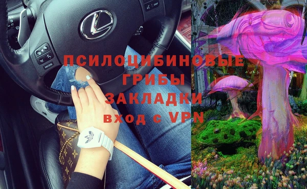 сатива Магадан