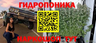 шишки Волжск