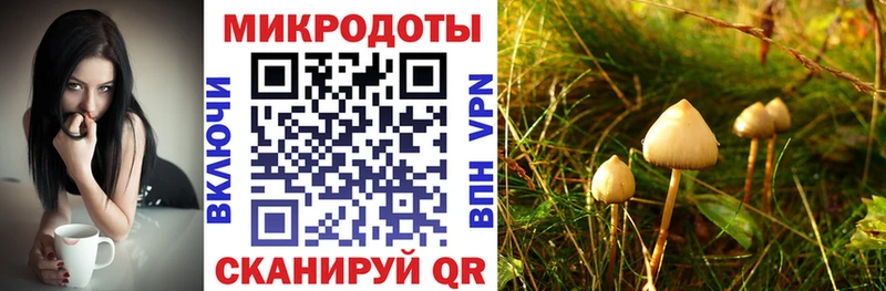 Галлюциногенные грибы мухоморы  Выкса 
