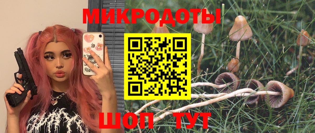 Псилоцибиновые грибы MAGIC MUSHROOMS Выкса