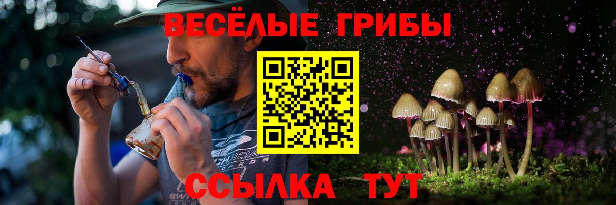 Псилоцибиновые грибы MAGIC MUSHROOMS Выкса